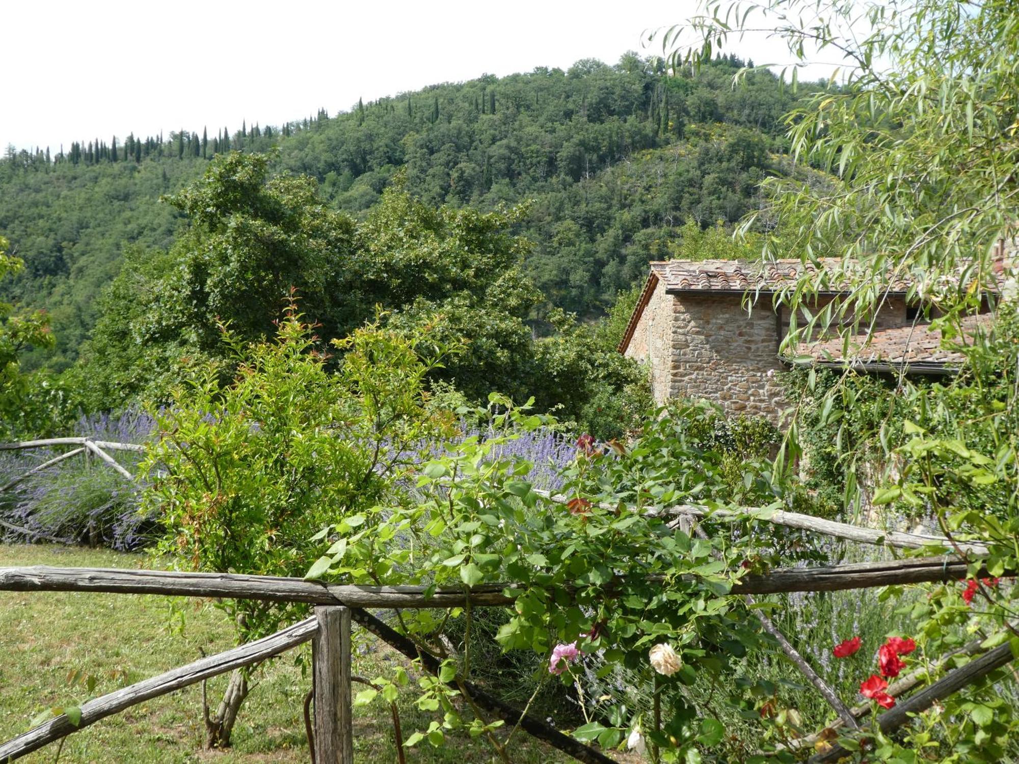 Вилла Il Capriolo San Cerbone Экстерьер фото
